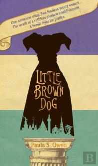 Little Brown Dog