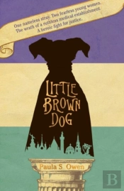 Little Brown Dog