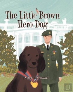 Bertrand.pt - Little Brown Hero Dog