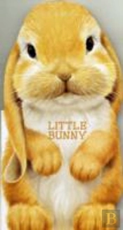 Little Bunny