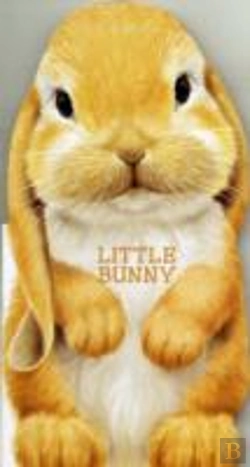 Bertrand.pt - Little Bunny