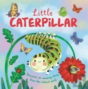Little Caterpillar