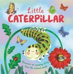 Bertrand.pt - Little Caterpillar
