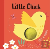 Little Chick Peep-A-Cheep!