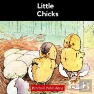 Little Chicks