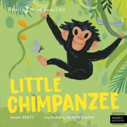 Bertrand.pt - Little Chimpanzee