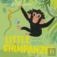 Little Chimpanzee