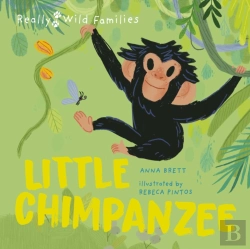 Bertrand.pt - Little Chimpanzee