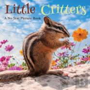 Little Critters, A No Text Picture Book