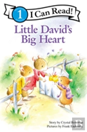 Little David'S Big Heart
