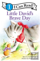 Little David'S Brave Day