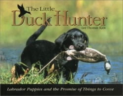 Bertrand.pt - Little Duck Hunter