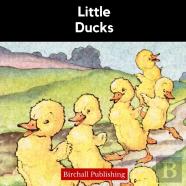 Little Ducks