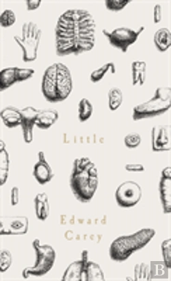 Bertrand.pt - Little