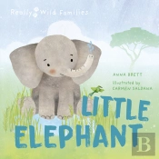 Little Elephant