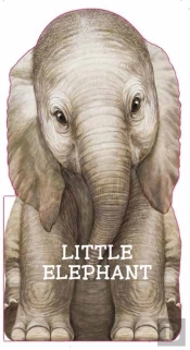 Little Elephant