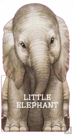 Bertrand.pt - Little Elephant