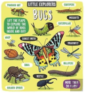 Little Explorers: Bugs