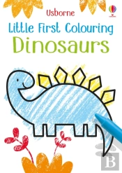 Little First Colouring Dinosaurs