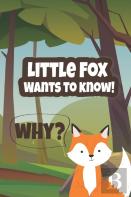 Little Fox Wants To Knew!