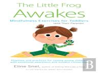 Little Frog Awakes