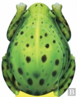Bertrand.pt - Little Frog