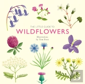 Little Guide To Wildflowers