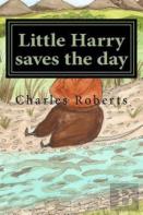 Little Harry Saves The Day