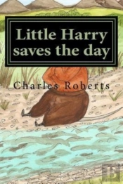 Little Harry Saves The Day