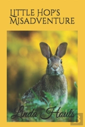 Little Hop'S Misadventure