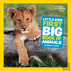 Bertrand.pt - Little Kids First Big Book Of Animals