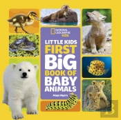 Little Kids First Big Book Of Baby Animals