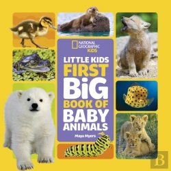 Bertrand.pt - Little Kids First Big Book Of Baby Animals