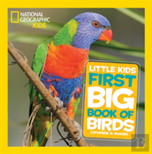 Little Kids First Big Book Of Birds