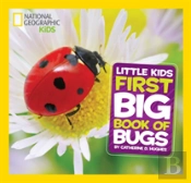 Little Kids First Big Book Of Bugs