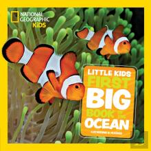 Little Kids First Big Book Of The Ocean