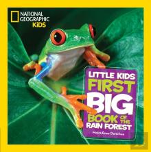 Little Kids First Big Book Of The Rainforest