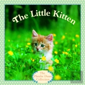 Little Kitten