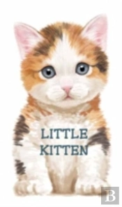 Little Kitten