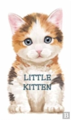 Bertrand.pt - Little Kitten