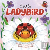 Little Ladybird