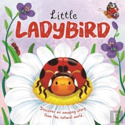 Bertrand.pt - Little Ladybird