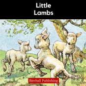 Little Lambs