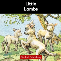 Bertrand.pt - Little Lambs
