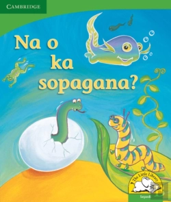 Bertrand.pt - Little Library Life Skills: Can You Wriggle? Sepedi Version