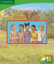 Little Library Life Skills: I'M A Lot Like You Sepedi Version