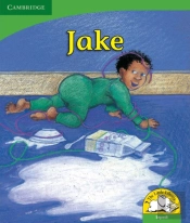 Little Library Life Skills: Jake Sepedi Version