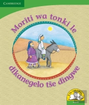 Little Library Life Skills: The Donkey'S Shadow And Other Stories Sepedi Version