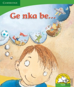 Bertrand.pt - Little Library Life Skills: What If? Sepedi Version
