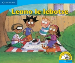 Bertrand.pt - Little Library Numeracy: A Good Plan Sepedi Version